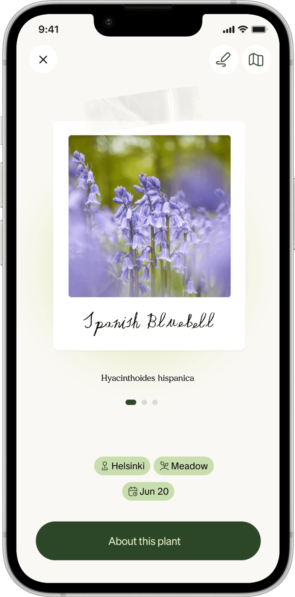 A plant specimen page in the Linnea app
