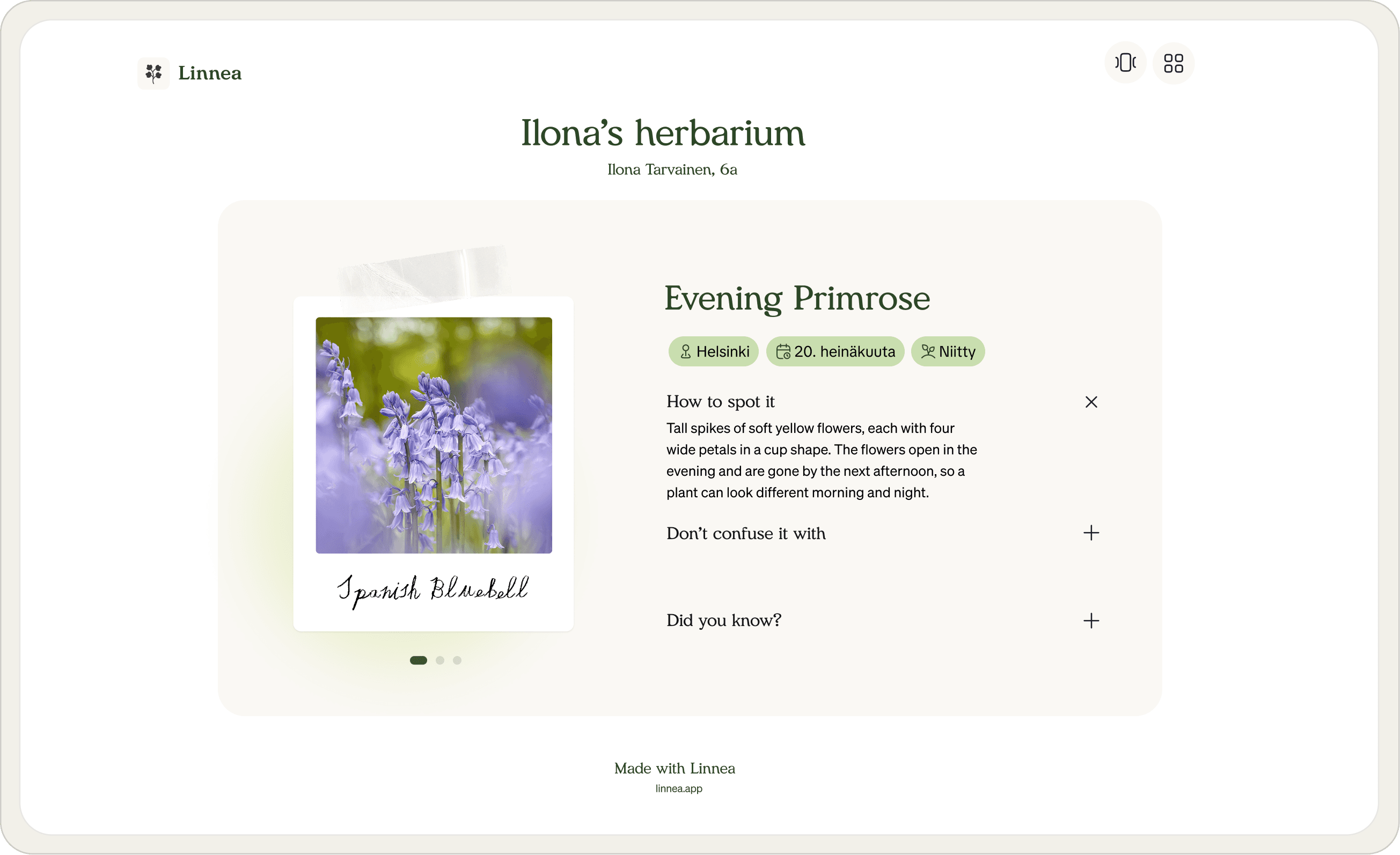 A shared Linnea herbarium open in a web browser